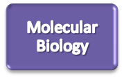 molecular biology